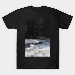 snowy Oregon forest, fox creek 9 T-Shirt